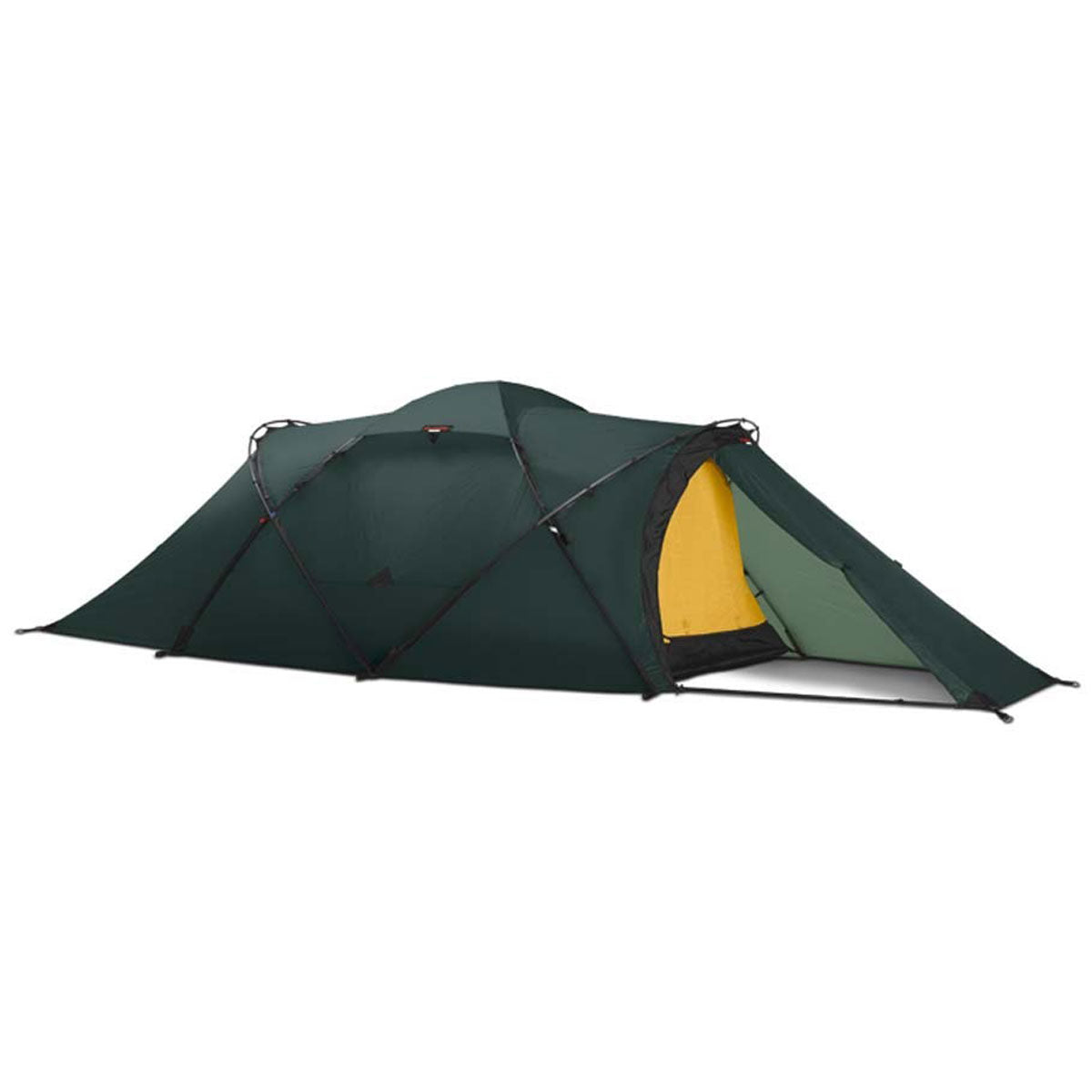 Hilleberg Tarra Tent (Green) – Motomox