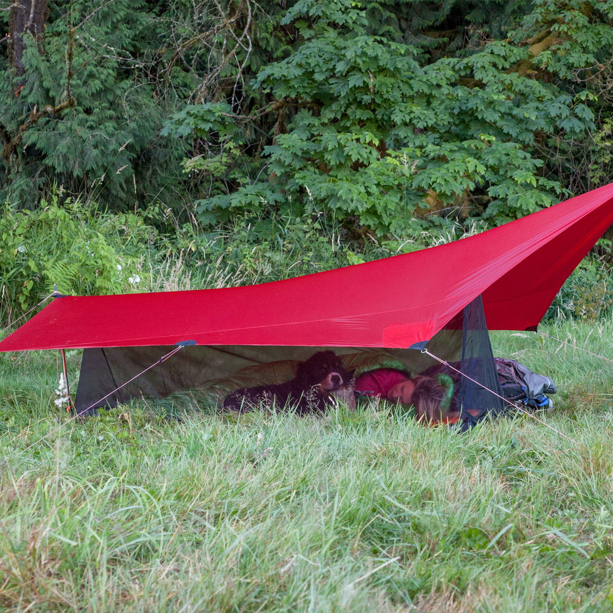 楽天市場】ヒルバーグ タープ5 ウルトラライト HILLEBERG TARP5