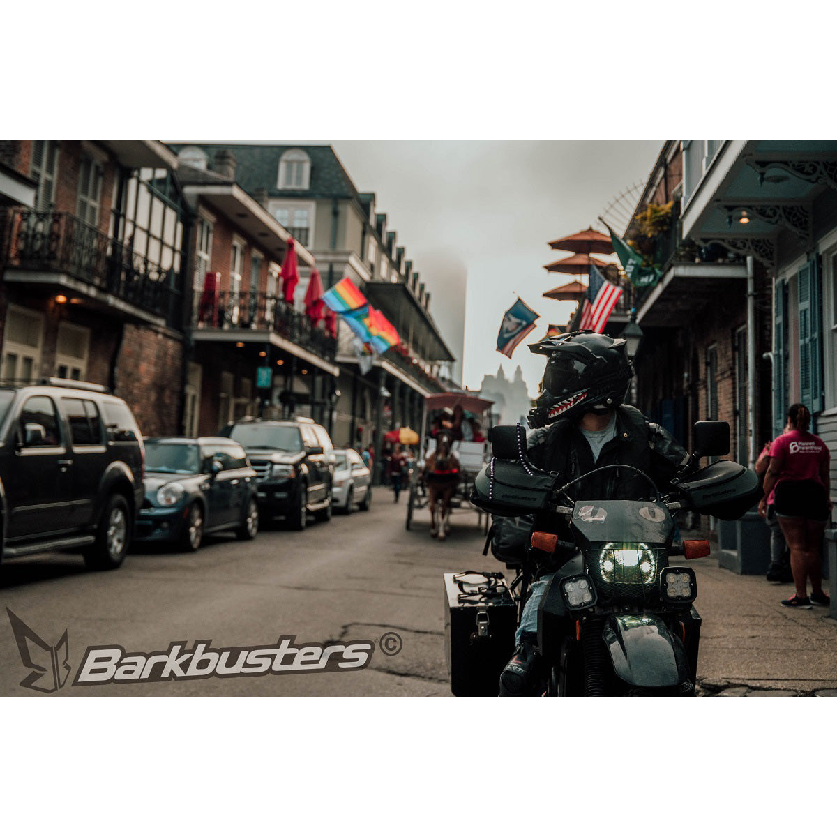 Barkbusters Blizzard Universal Handguards moto travel